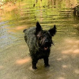 Meet your Posher, Chris